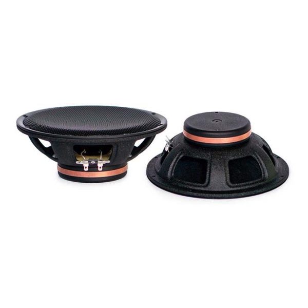 Solo 8" Neo Speakers      300W